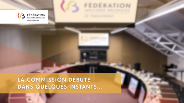 Commision parlementaire_CIDJ_Jeunes et police